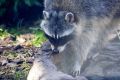 ���������� ������� � ��������� ���������� ������� ��������� � ������