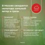 До конца дня в Москве ожидаются гроза и сильный дождь