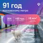 Сегодня в рубрике #Котистика рассказываю про перевозки пассажиров