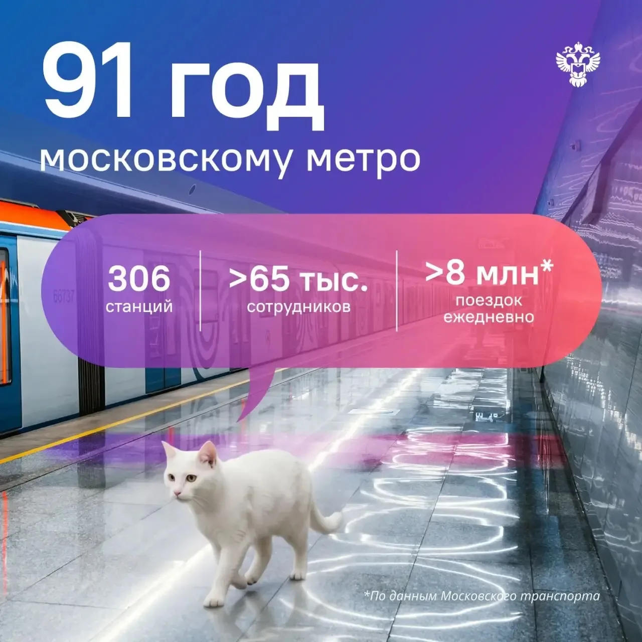 Сегодня в рубрике #Котистика рассказываю про перевозки пассажиров