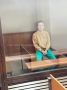 Мужчина с ножом напал на 7-летнюю девочку в Наро-Фоминске
