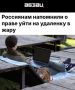 «Россиянам напомнили о праве уйти на удаленку в жару»: Жители Москвы и области могут пережить аномальную жару на следующей неделе на дистанционке при согласовании с руководством