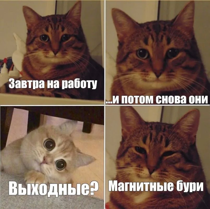 Прогноз магнитных бурь с 18 по 24 мая