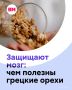 Накануне в мире отмечали необычный праздник — День грецкого ореха