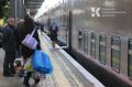 После остановки движения на Крымском мосту сразу 17 поездов «Таврия» выбились из графика