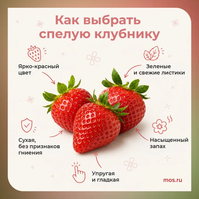 В Москве открылись павильоны «Ягодные сезоны», а значит, пришла пора клубники! Как выбрать самую вкусную, спелую и сочную? Даем подсказки в нашей инфографике