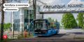 Быстро и с ветерком: до кинопарка «Москино» можно добраться на автобусах-шаттлах