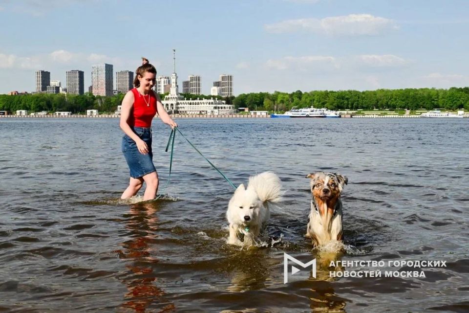 Столица превратилась в курорт — на фоне аномальной жары москвичи массово переходят на летний режим Столица превратилась в курорт — на фоне аномальной жары москвичи массово переходят на летний режим