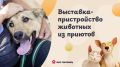 Ищете верного друга? Приходите 24 мая на ВДНХ! Здесь пройдет выставка-пристройство животных из приютов