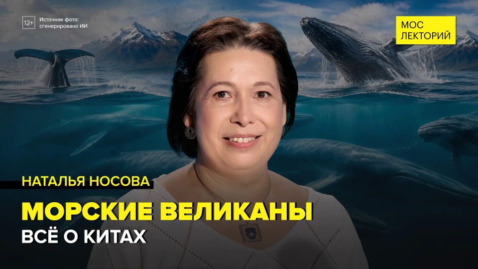 Киты: зачем им матриархат, песни и фонтан