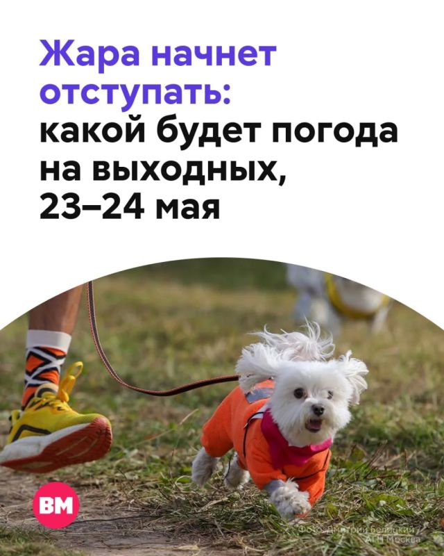 В Москве сохраняется «оранжевый» уровень погодной опасности из-за аномальной жары, но уже в выходные температура начнет снижаться