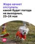 � ������ ����������� ���������� ������� �������� ��������� ��-�� ���������� ����, �� ��� � �������� ����������� ������ ���������
