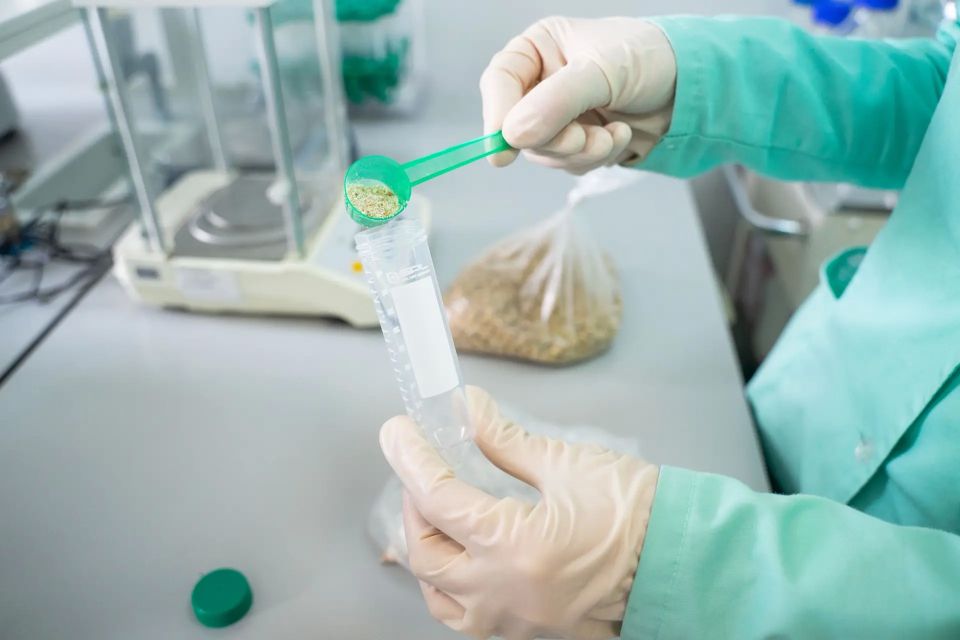 Делегация из Китая проведет инспекции российских производителей пшеничных отрубей