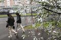 Мокрый снег-«липучка» накроет Московскую область, но до столицы не доберётся, прогнозирует синоптик