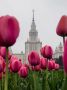 Надеемся, ваше воскресенье было прекрасным!