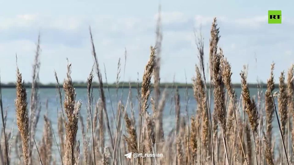 Герои СВО: Цербер. Сын академика, заслуженного врача РФ, лечившего в том числе Саддама Хусейна