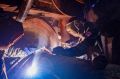 Завершены работы по переустройству и выносу газовых сетей из зоны строительства на участке Апрелевка – Железнодорожная МЦД-4