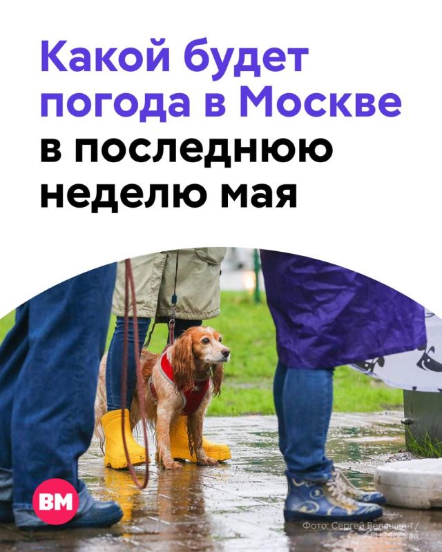После рекордной жары в столичный регион наконец пришло небольшое похолодание