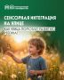 Как улица помогает ребёнку развиваться