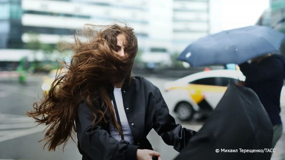 Сильный ветер до 17 м/с ожидается в Москве в ближайшие часы, сообщается столичный комплекс городского хозяйства