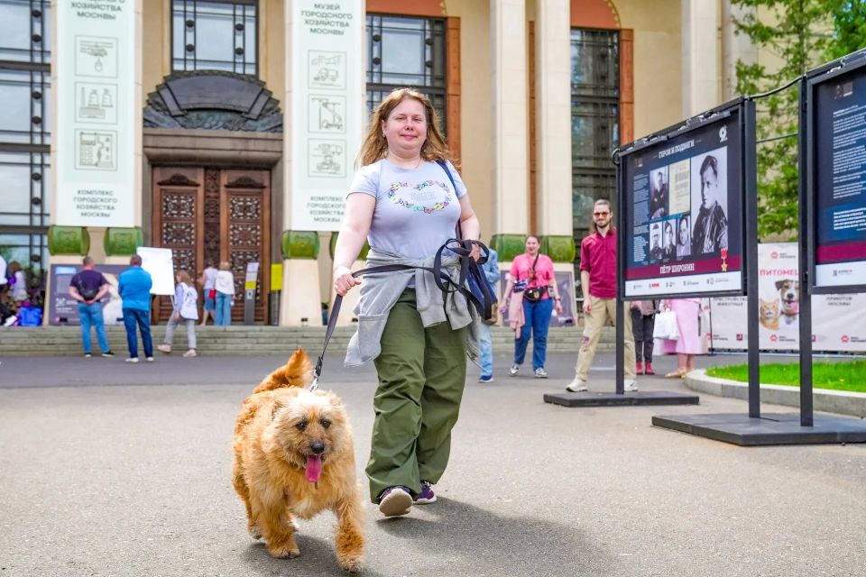 С выставки-пристройства в семьи москвичей отправились питомцы из городских приютов С выставки-пристройства в семьи москвичей отправились питомцы из городских приютов