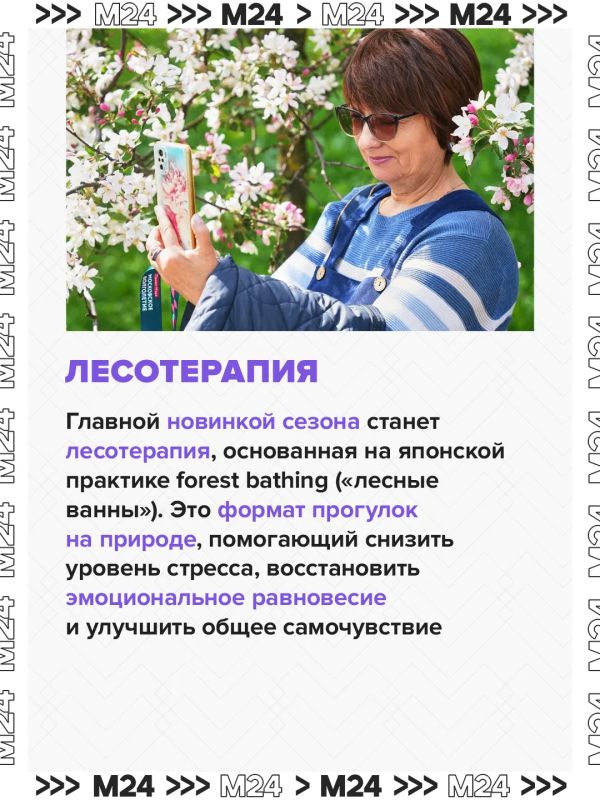 Лесотерапия, речные прогулки и рафтинг: в столице стартовал летний сезон «Московского долголетия» Лесотерапия, речные прогулки и рафтинг: в столице стартовал летний сезон «Московского долголетия»