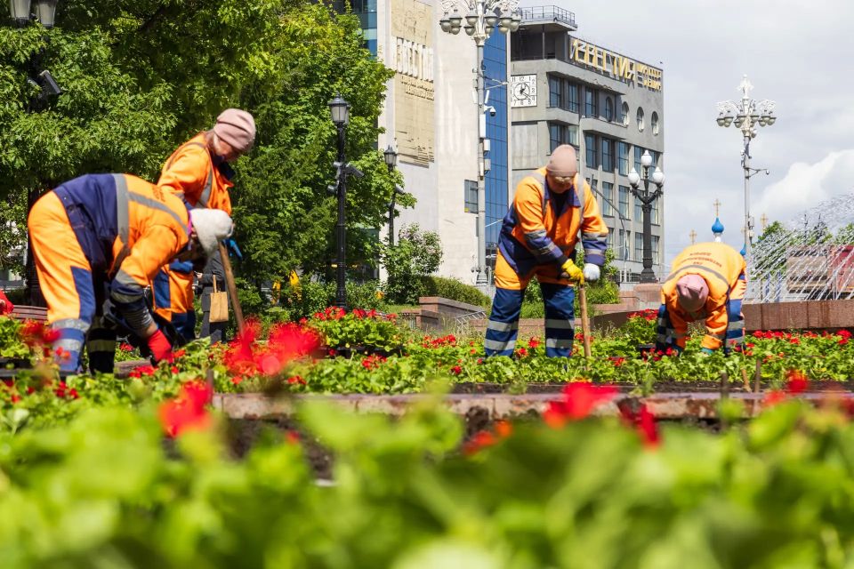 В Москве стартовала высадка однолетних цветов В Москве стартовала высадка однолетних цветов