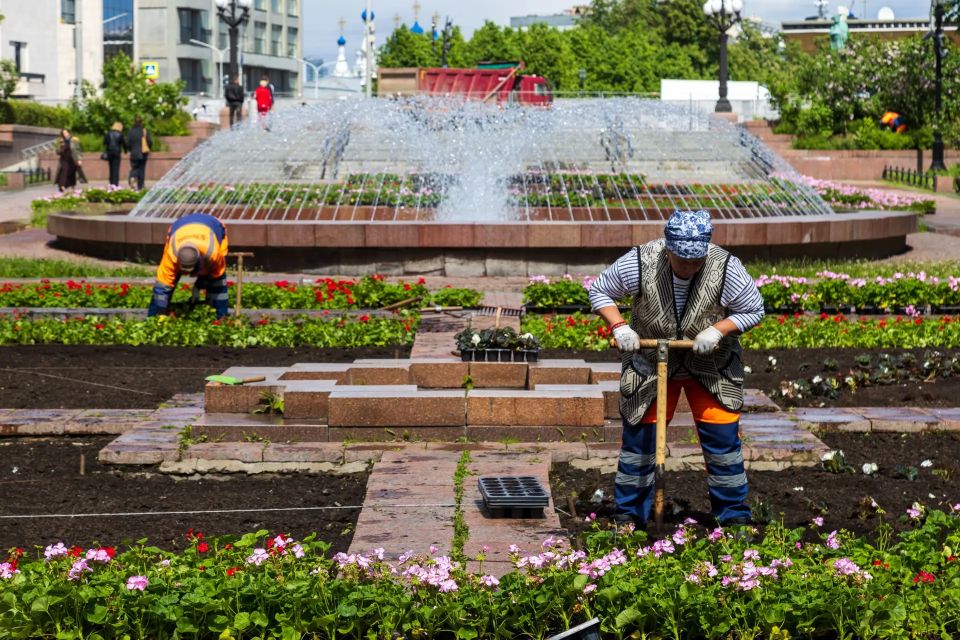 В Москве стартовала высадка однолетних цветов В Москве стартовала высадка однолетних цветов