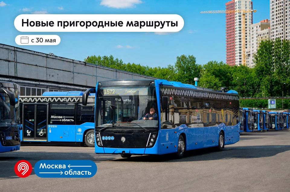 Запускаем еще 3 маршрута в ближайшее Подмосковье
