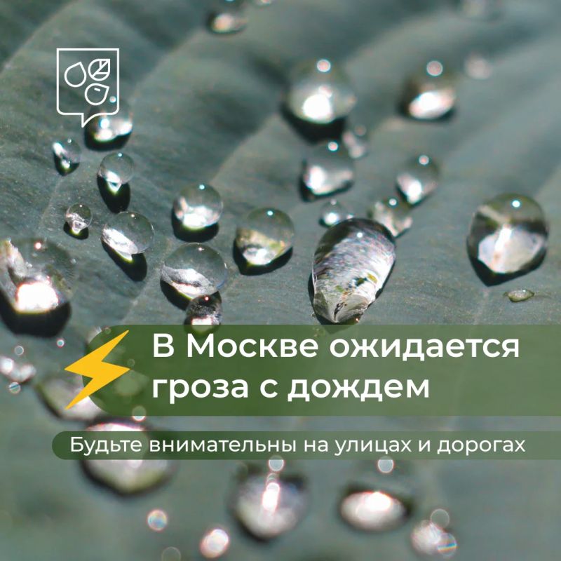 В Москве ожидается гроза с дождем