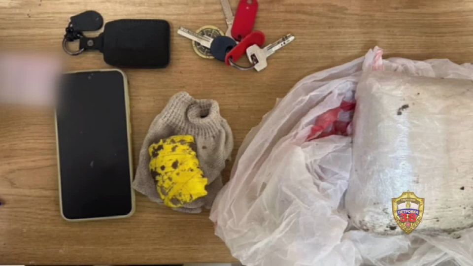 Мефедрон, N-метилэфедрон и растения в горшках: задержан мужчина за покушение на сбыт наркотиков