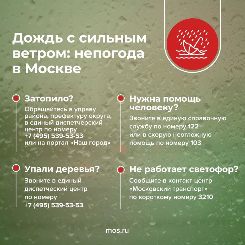 До вечера в Москве продолжит идти дождь, возможны гроза и усиление ветра