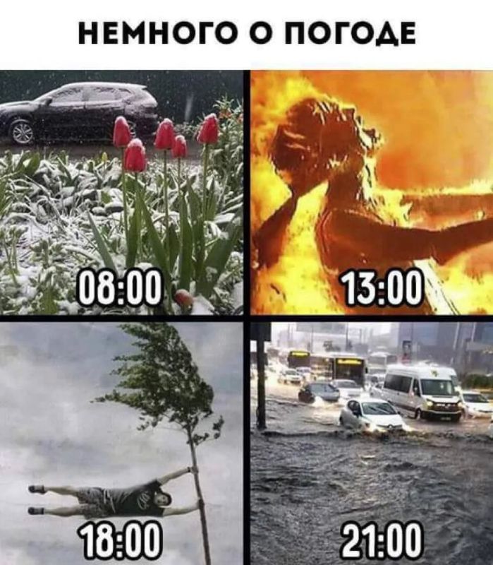 Какое лето ждёт Москву после аномальной весны