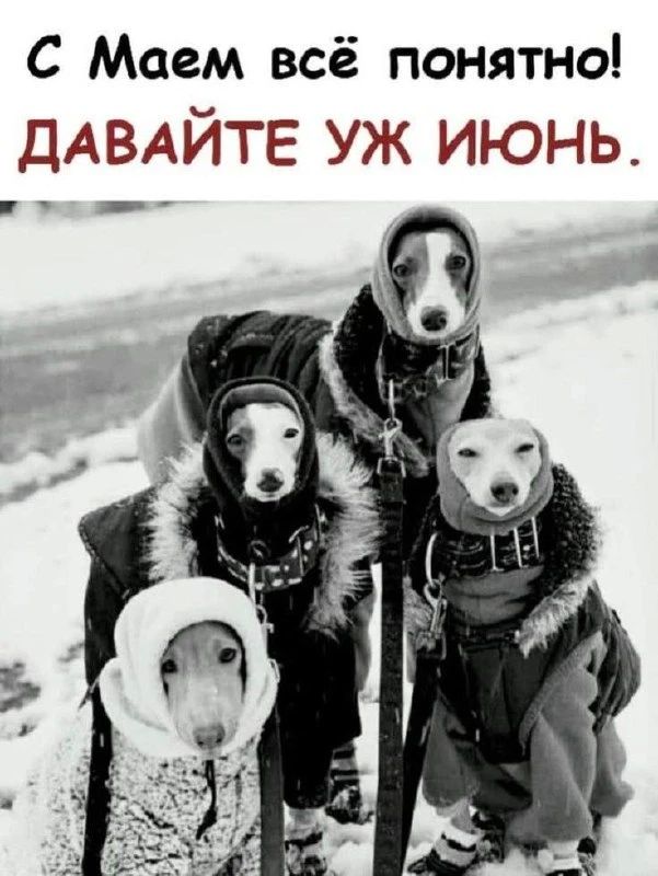 «Морозы до 2°C ожидаются в Москве уже этой ночью», — Гидрометцентр