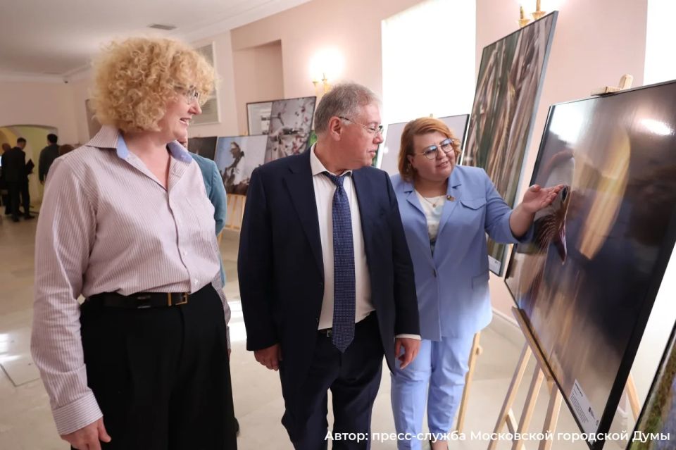 Выставка работ международного фестиваля «Золотая черепаха» в Московской городской Думе Выставка работ международного фестиваля «Золотая черепаха» в Московской городской Думе