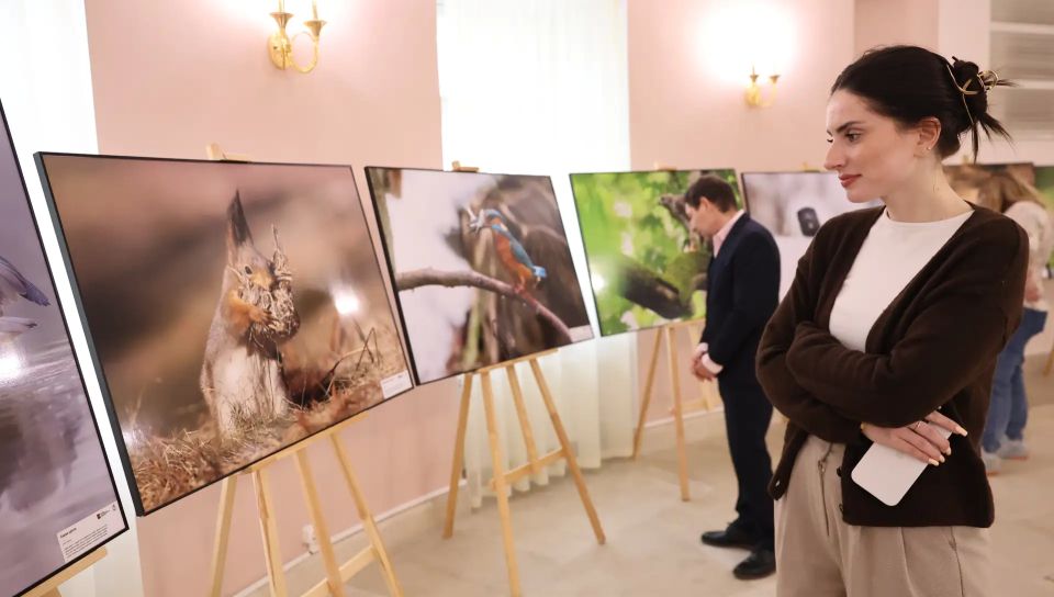 В столичном парламенте представили фотографии дикой природы столицы В столичном парламенте представили фотографии дикой природы столицы