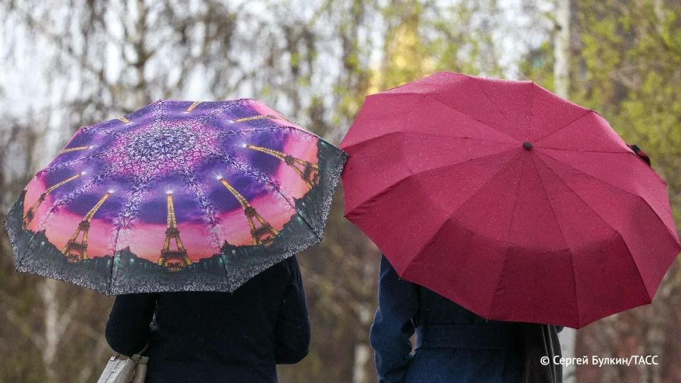 Воскресенье станет самым дождливым днем в Московском регионе