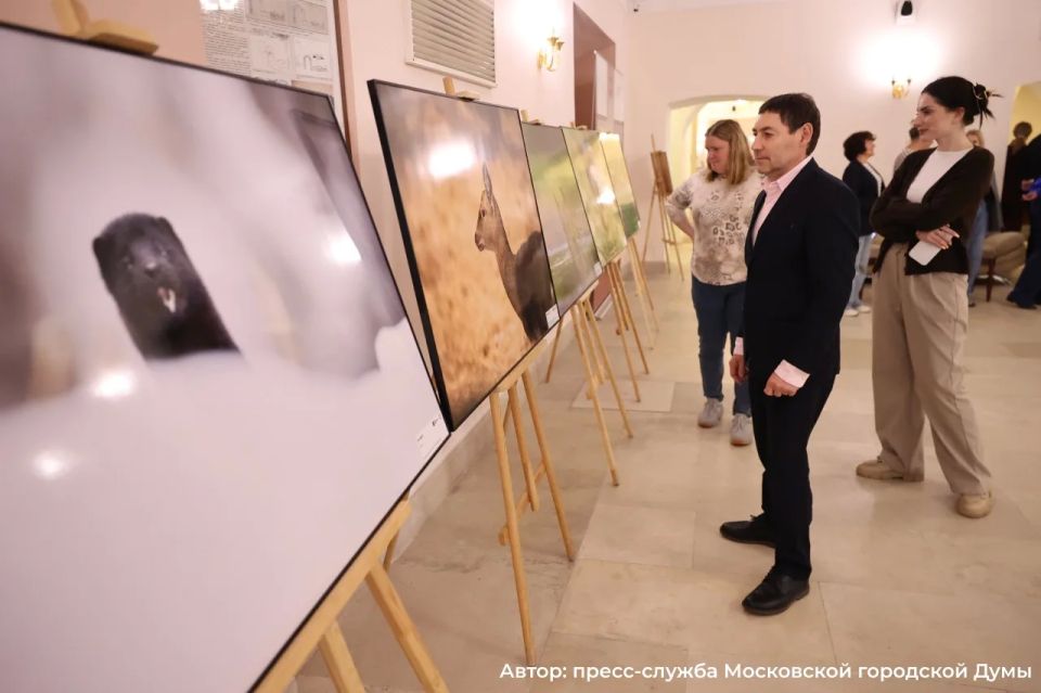 Выставка работ международного фестиваля «Золотая черепаха» в Московской городской Думе Выставка работ международного фестиваля «Золотая черепаха» в Московской городской Думе