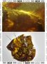 ������ ��������� ����� 40 ��������� ��� � ����� ����� ������ ����� � ��������������� �������