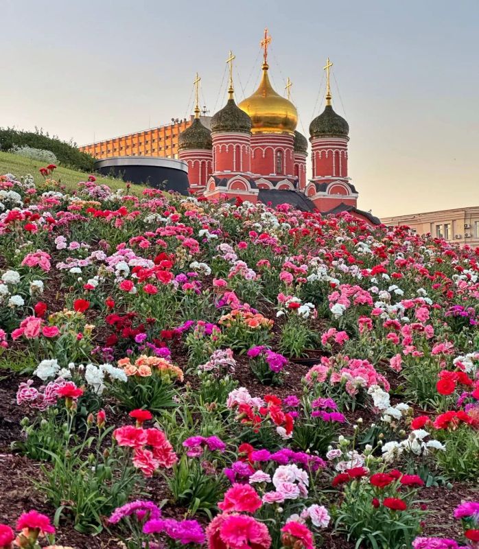 Надеемся, ваше воскресенье было прекрасным!