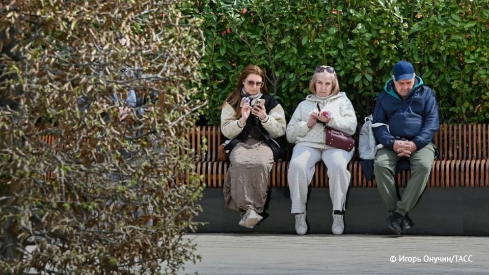 Мошенники стали более изобретательными, теперь они создают групповые чаты с подставными аккаунтами знакомых, рассказали ТАСС в СФ