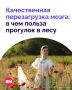 Оказывается, прогулки по лесу — это не просто приятный отдых, но и отличная «перезагрузка» для мозга