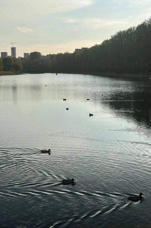 Евгений Попов: На западе Москвы есть места, которые многие жители знают с детства Евгений Попов: На западе Москвы есть места, которые многие жители знают с детства