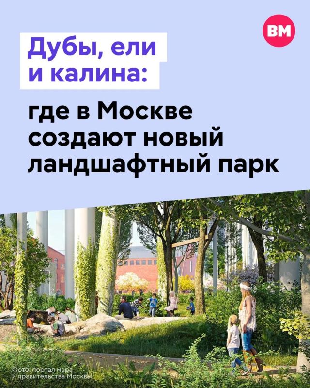 Вместо бетона — живые растения: в Москве появится новый парк с «русской природой»