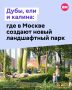 Вместо бетона — живые растения: в Москве появится новый парк с «русской природой»