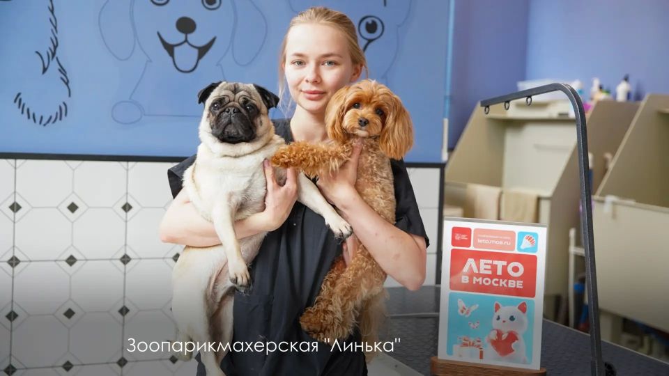 "Лето в Москве" с бизнесом: к новому сезону проекта уже присоединились свыше 1,4 тыс "Лето в Москве" с бизнесом: к новому сезону проекта уже присоединились свыше 1,4 тыс