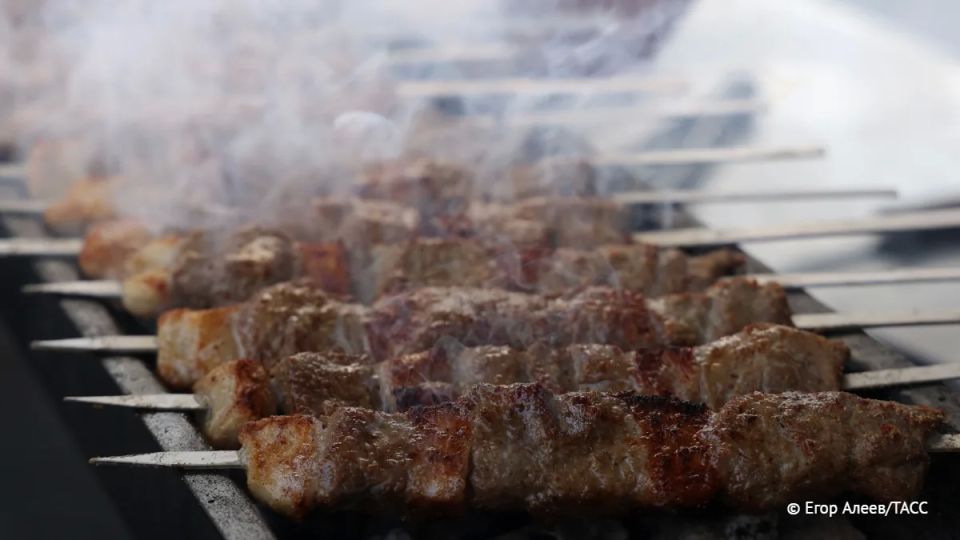 Как пожарить шашлыки и не нарушить запрет на разведение огня