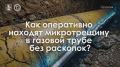 ����������, ������� ��� ���� �����������: ��� �� ������ ������������ ������������