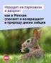 ����, ������, ����, ����� ������ ���������: � ��������� ����������� �������� ������ � ������ ���� ����� �����