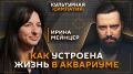 Культурная симпатия с Дмитрием Егорченковым на Радио Sputnik